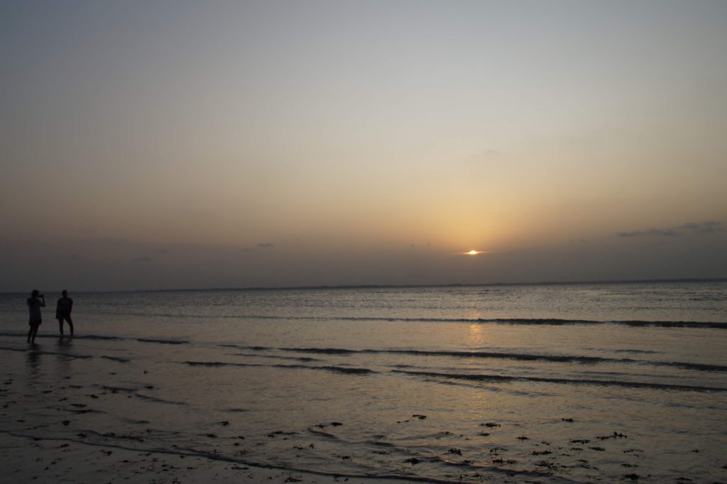 Wat te doen op Zanzibar? De 10 leukste tips! (2025) - ATTW