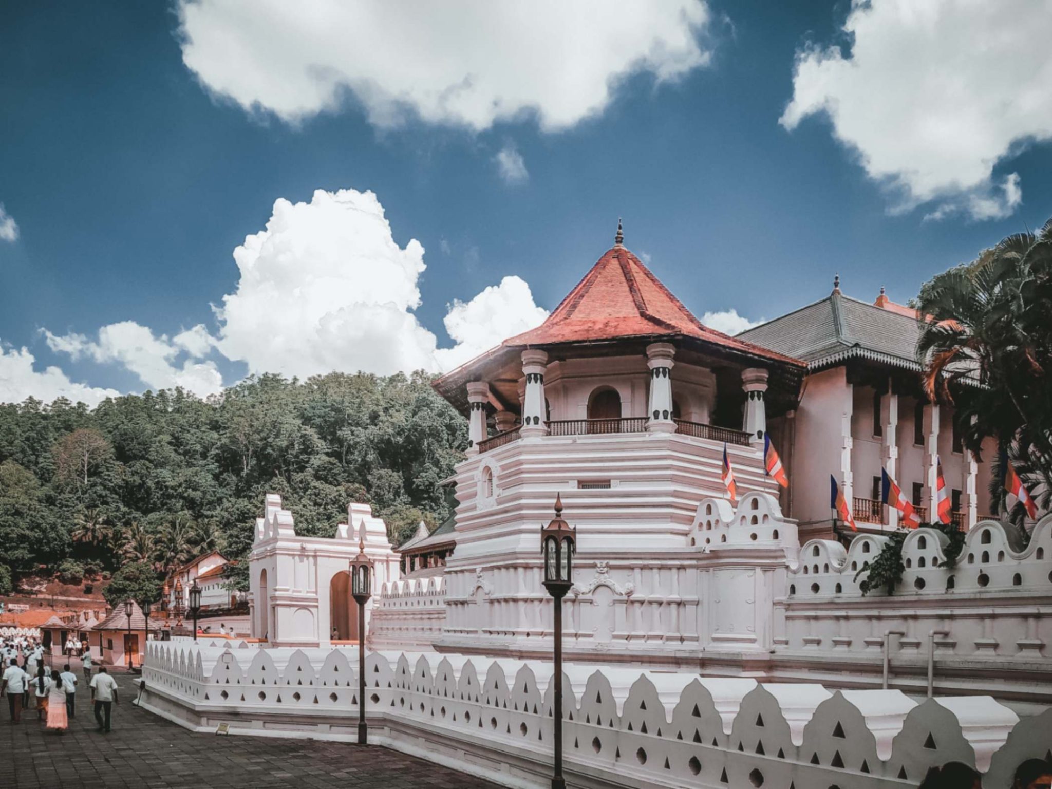 The 8 Best Things To Do in Kandy! (2025) - ATTW
